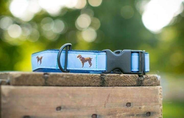 Little Brown Dog Collar - Light Blue/Navy - Little Brown Dog Southern Trade Co