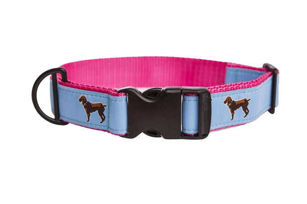 Little Brown Dog Collar - Light Blue/Pink - Little Brown Dog Southern Trade Co